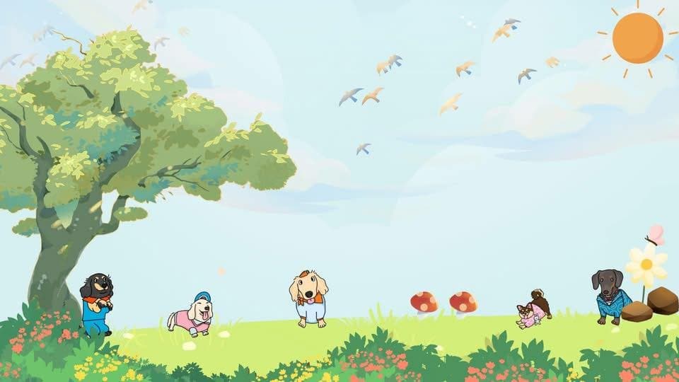 Have a Pet Day Farm ฟาร์มชิวาวาและดัชชุน